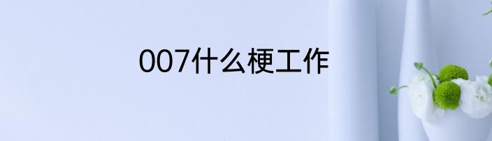 007什么梗工作