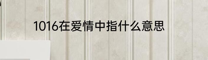 1016在爱情中指什么意思