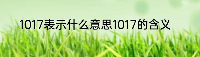1017表示什么意思1017的含义