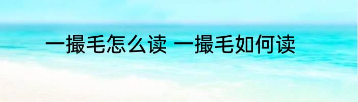 一撮毛怎么读 一撮毛如何读