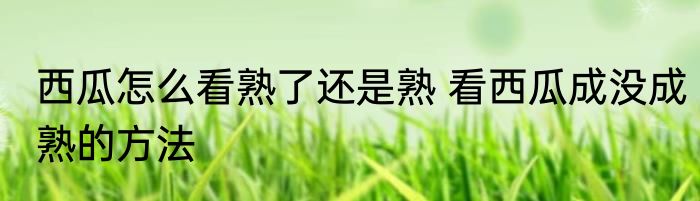 西瓜怎么看熟了还是熟 看西瓜成没成熟的方法