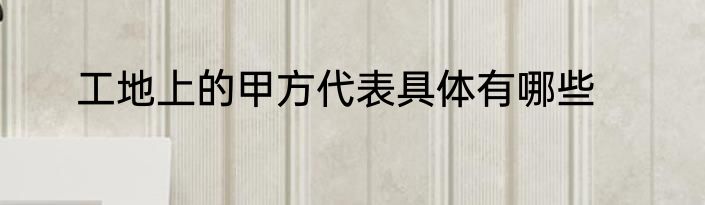 工地上的甲方代表具体有哪些