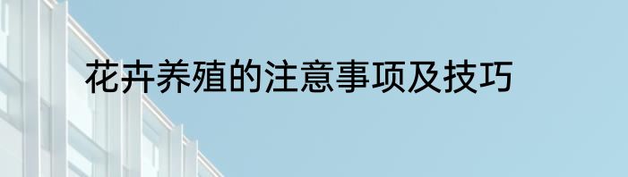 花卉养殖的注意事项及技巧