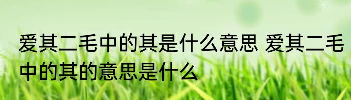 爱其二毛中的其是什么意思 爱其二毛中的其的意思是什么