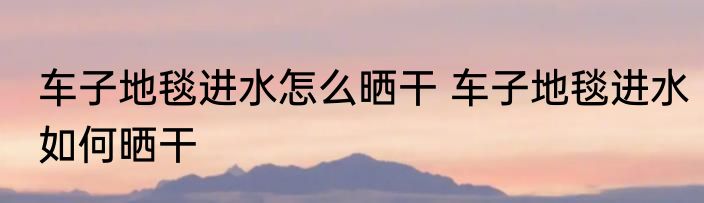 车子地毯进水怎么晒干 车子地毯进水如何晒干