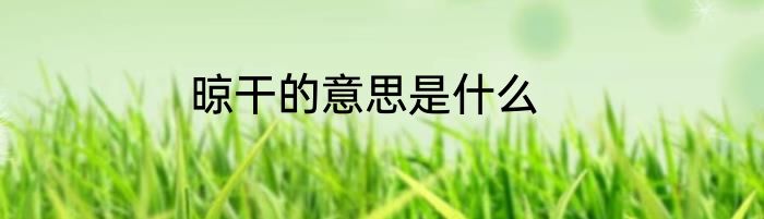 晾干的意思是什么