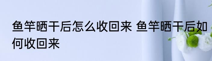 鱼竿晒干后怎么收回来 鱼竿晒干后如何收回来