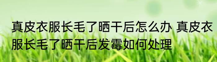 真皮衣服长毛了晒干后怎么办 真皮衣服长毛了晒干后发霉如何处理