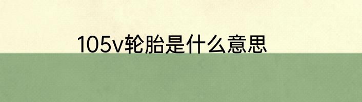 105v轮胎是什么意思