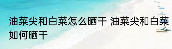 油菜尖和白菜怎么晒干 油菜尖和白菜如何晒干