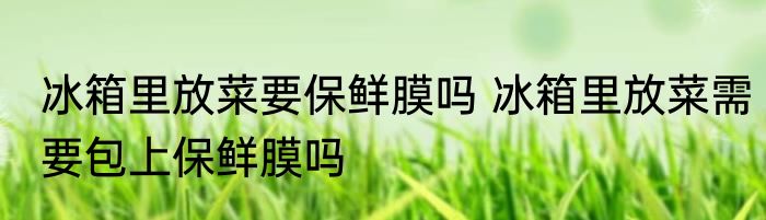 冰箱里放菜要保鲜膜吗 冰箱里放菜需要包上保鲜膜吗