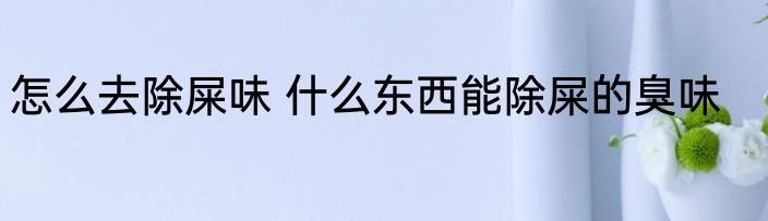 怎么去除屎味 什么东西能除屎的臭味