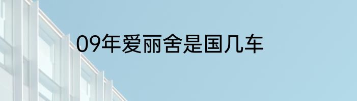 09年爱丽舍是国几车