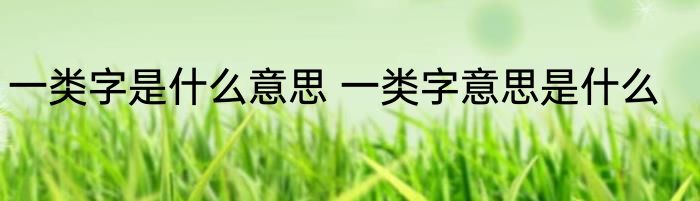 一类字是什么意思 一类字意思是什么