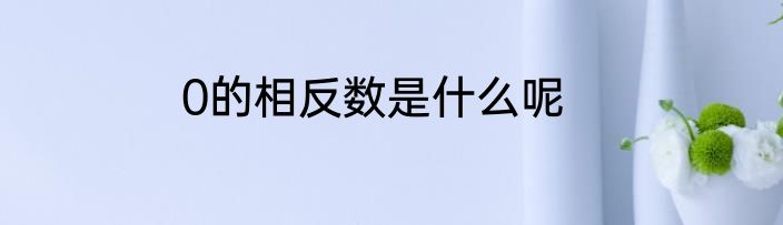 0的相反数是什么呢