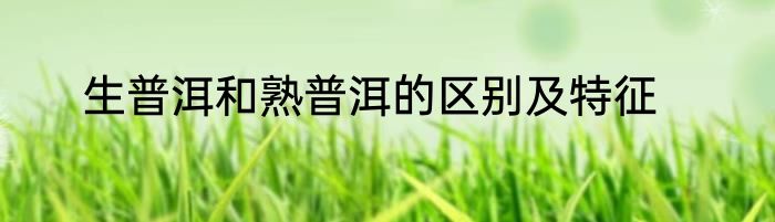 生普洱和熟普洱的区别及特征