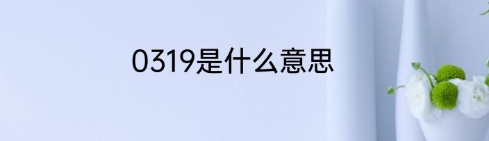 0319是什么意思