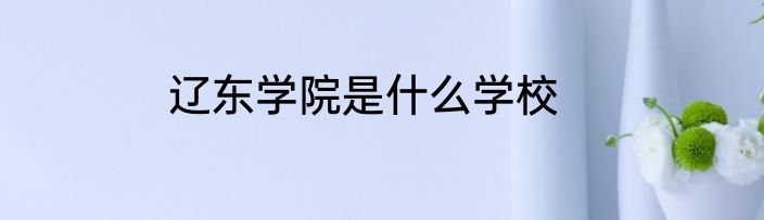 辽东学院是什么学校
