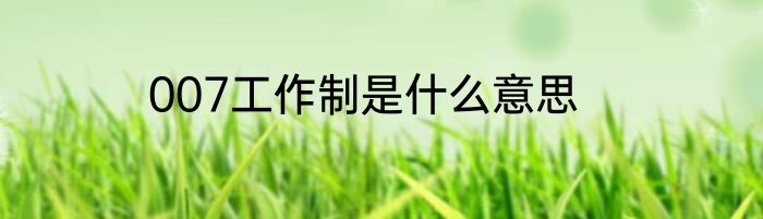 007工作制是什么意思