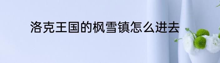 洛克王国的枫雪镇怎么进去