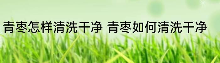 青枣怎样清洗干净 青枣如何清洗干净