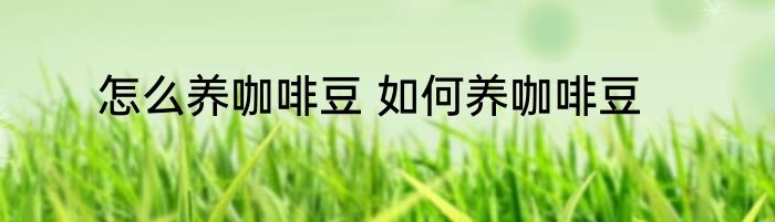 怎么养咖啡豆 如何养咖啡豆