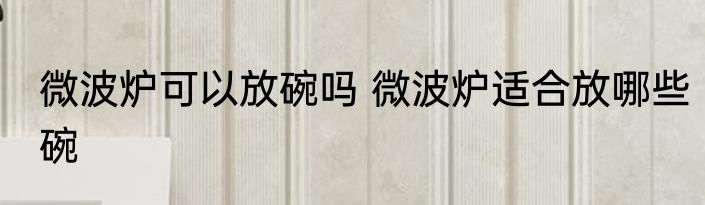 微波炉可以放碗吗 微波炉适合放哪些碗