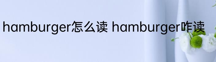 hamburger怎么读 hamburger咋读