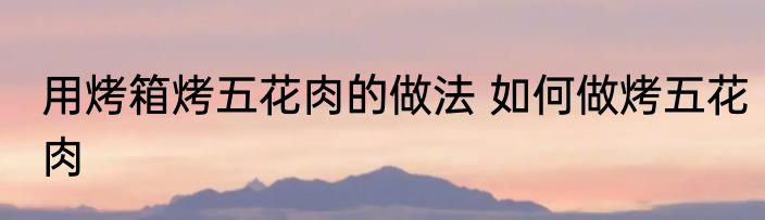 用烤箱烤五花肉的做法 如何做烤五花肉