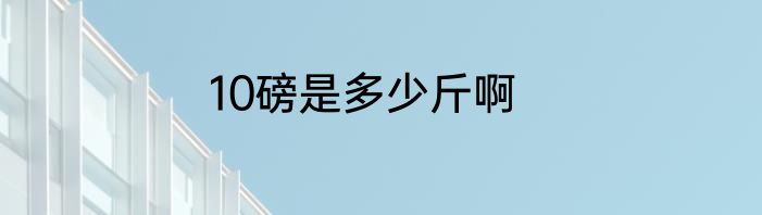 10磅是多少斤啊