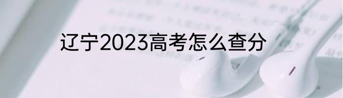 辽宁2023高考怎么查分
