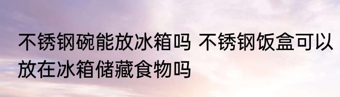 不锈钢碗能放冰箱吗 不锈钢饭盒可以放在冰箱储藏食物吗