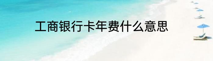 工商银行卡年费什么意思