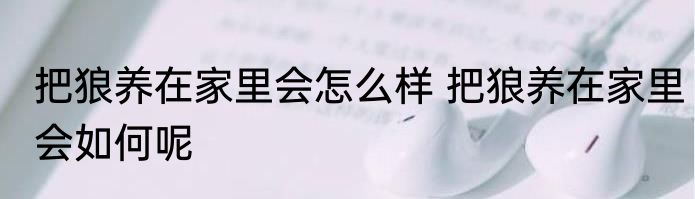 把狼养在家里会怎么样 把狼养在家里会如何呢