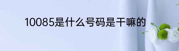 10085是什么号码是干嘛的
