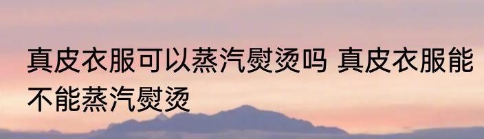 真皮衣服可以蒸汽熨烫吗 真皮衣服能不能蒸汽熨烫