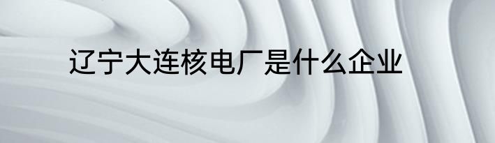 辽宁大连核电厂是什么企业