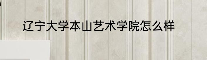 辽宁大学本山艺术学院怎么样