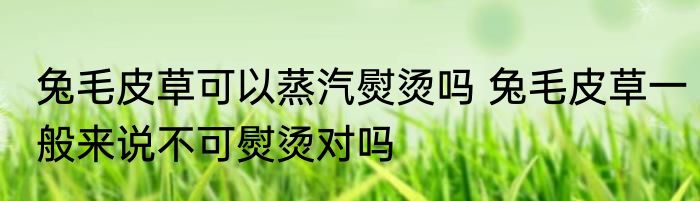 兔毛皮草可以蒸汽熨烫吗 兔毛皮草一般来说不可熨烫对吗