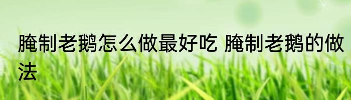 腌制老鹅怎么做最好吃 腌制老鹅的做法