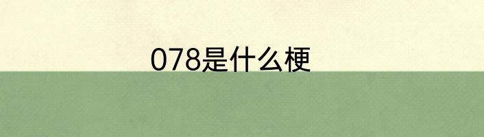 078是什么梗