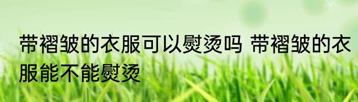 带褶皱的衣服可以熨烫吗 带褶皱的衣服能不能熨烫