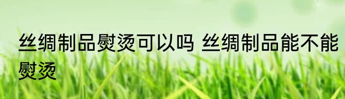 丝绸制品熨烫可以吗 丝绸制品能不能熨烫
