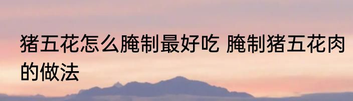 猪五花怎么腌制最好吃 腌制猪五花肉的做法