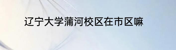 辽宁大学蒲河校区在市区嘛