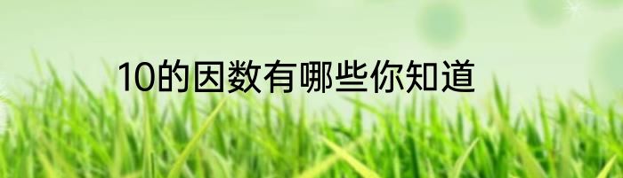 10的因数有哪些你知道