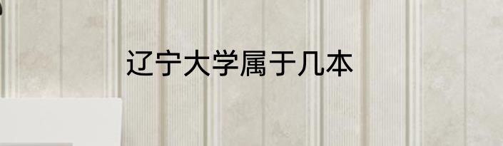 辽宁大学属于几本