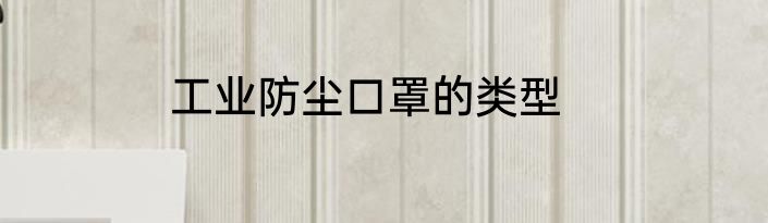 工业防尘口罩的类型