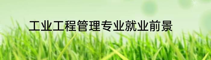 工业工程管理专业就业前景