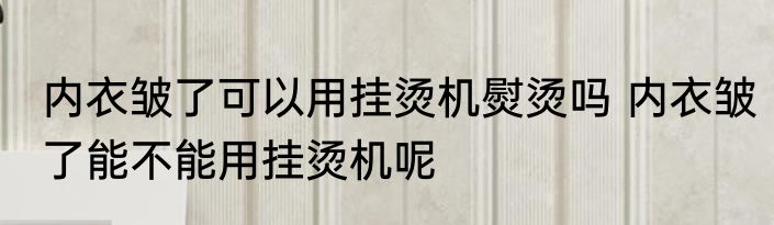 内衣皱了可以用挂烫机熨烫吗 内衣皱了能不能用挂烫机呢